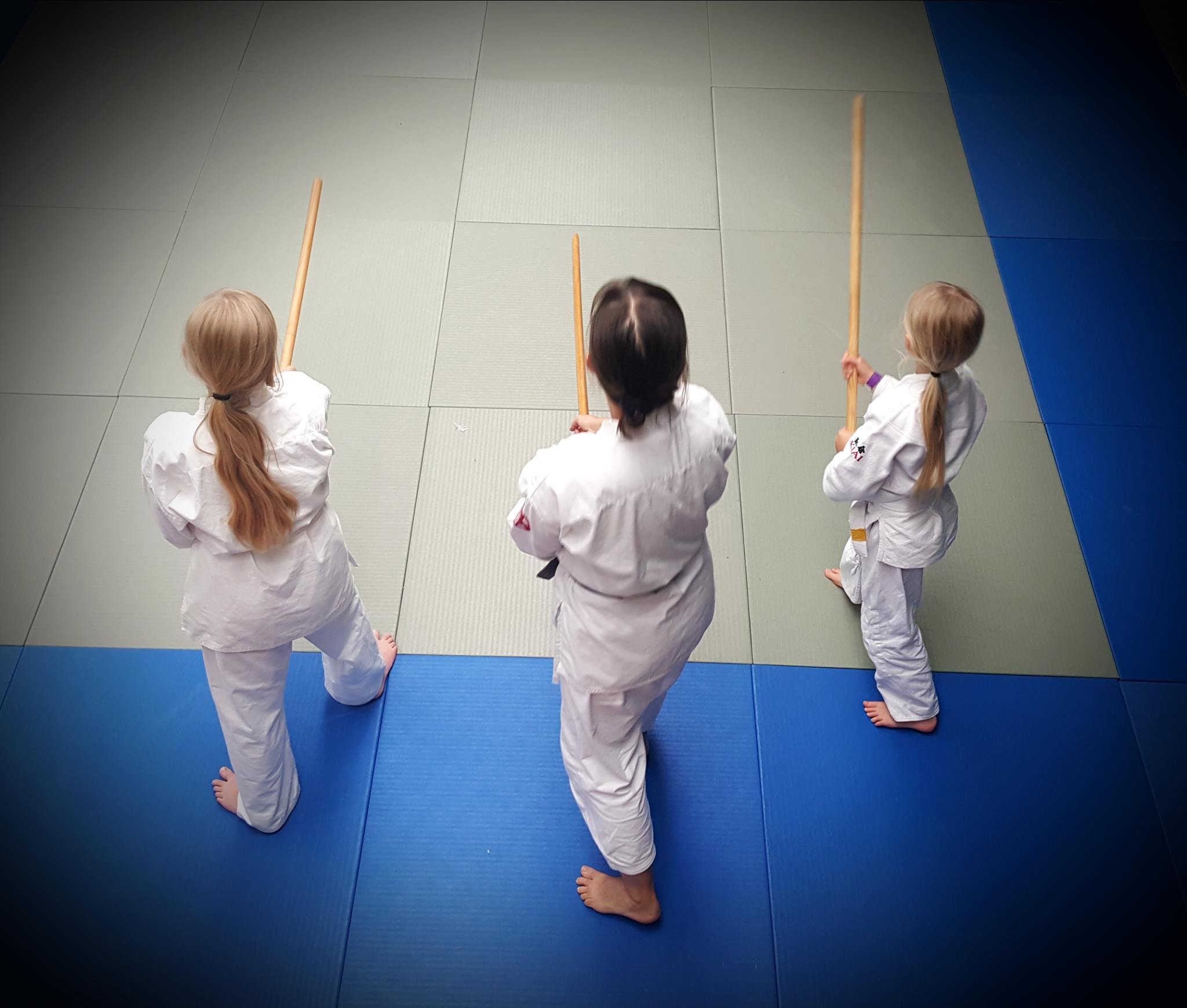 4 week Aikido introductory course – every Monday for 4 weeks starting on the 24th of August